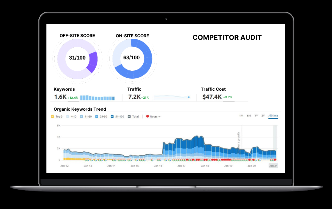 Ecommerce SEO Audits