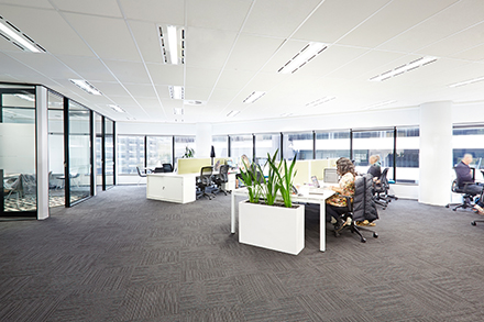 sentius-melbourne-office-2.jpg