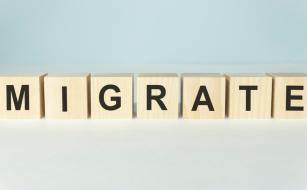 Website Migration Guide: How to migrate without losing SEO traffic